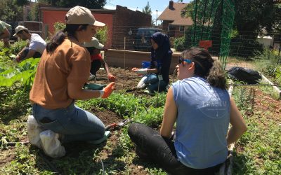 A Day of Peacebuilding and Community Impact